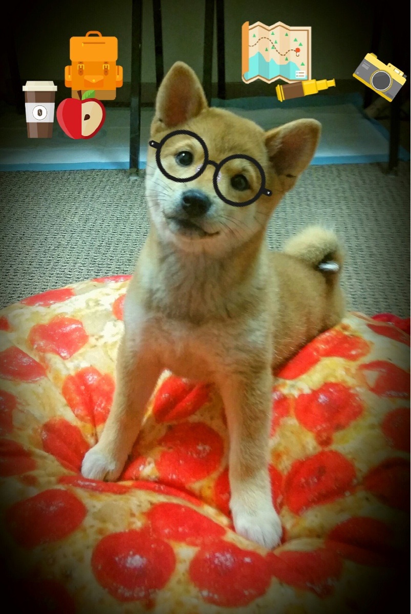 爱游戏在线-从红土失意者到硬地君王，梅德韦杰夫年终总决赛的独特统治力