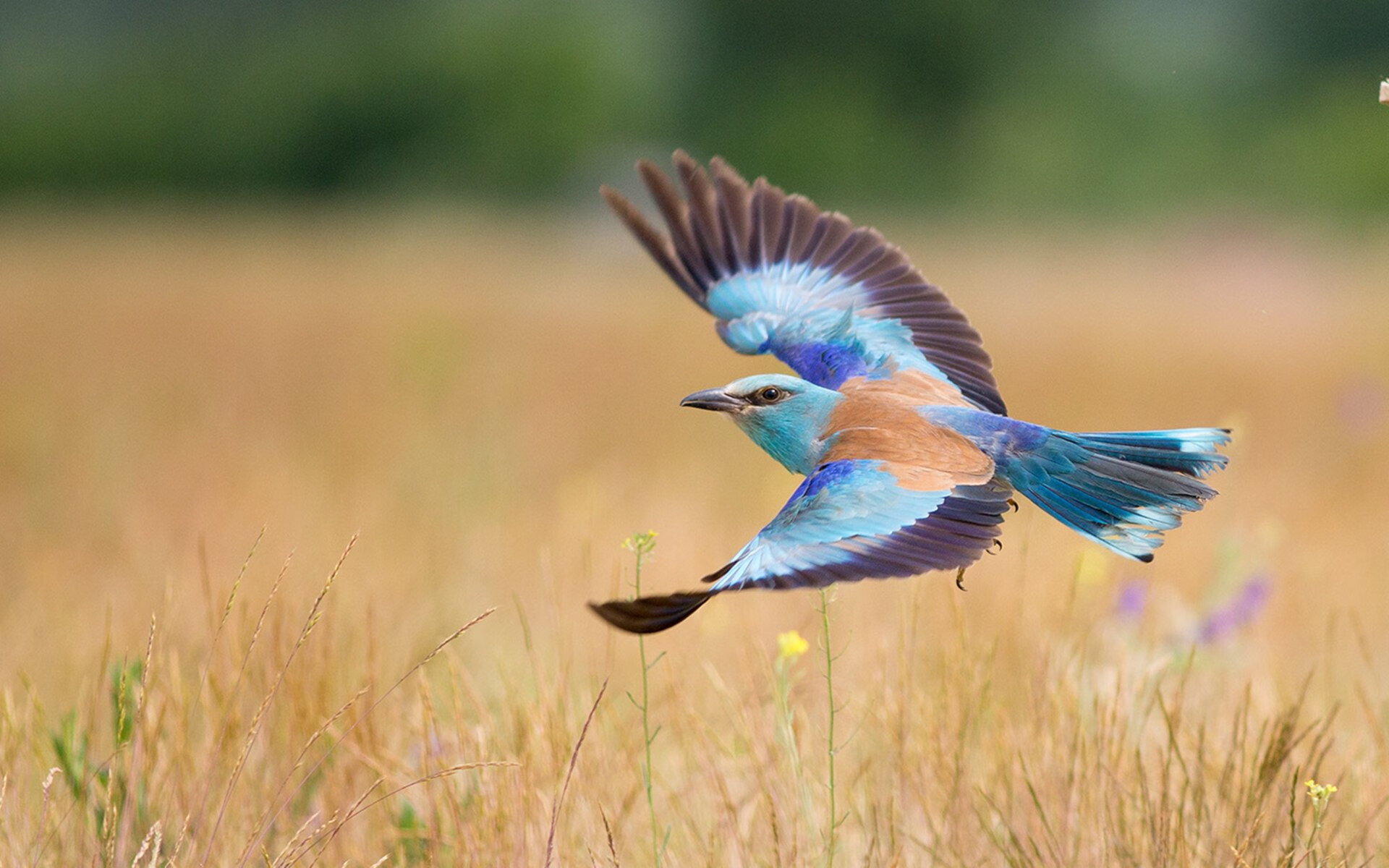 爱游戏大厅-沉默者的盛宴，从日本队逆转德国到马琳的纪录之夜