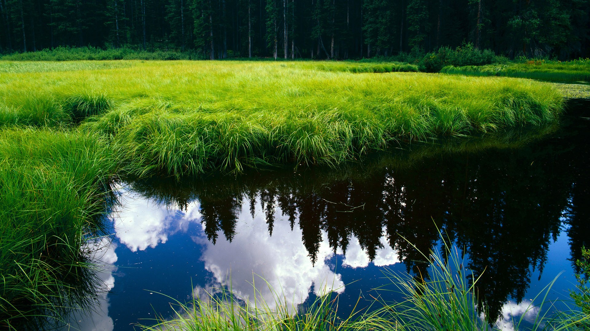 爱游戏入口-NBA双雄记，马刺绝杀骑士，恩比德刷新历史纪录