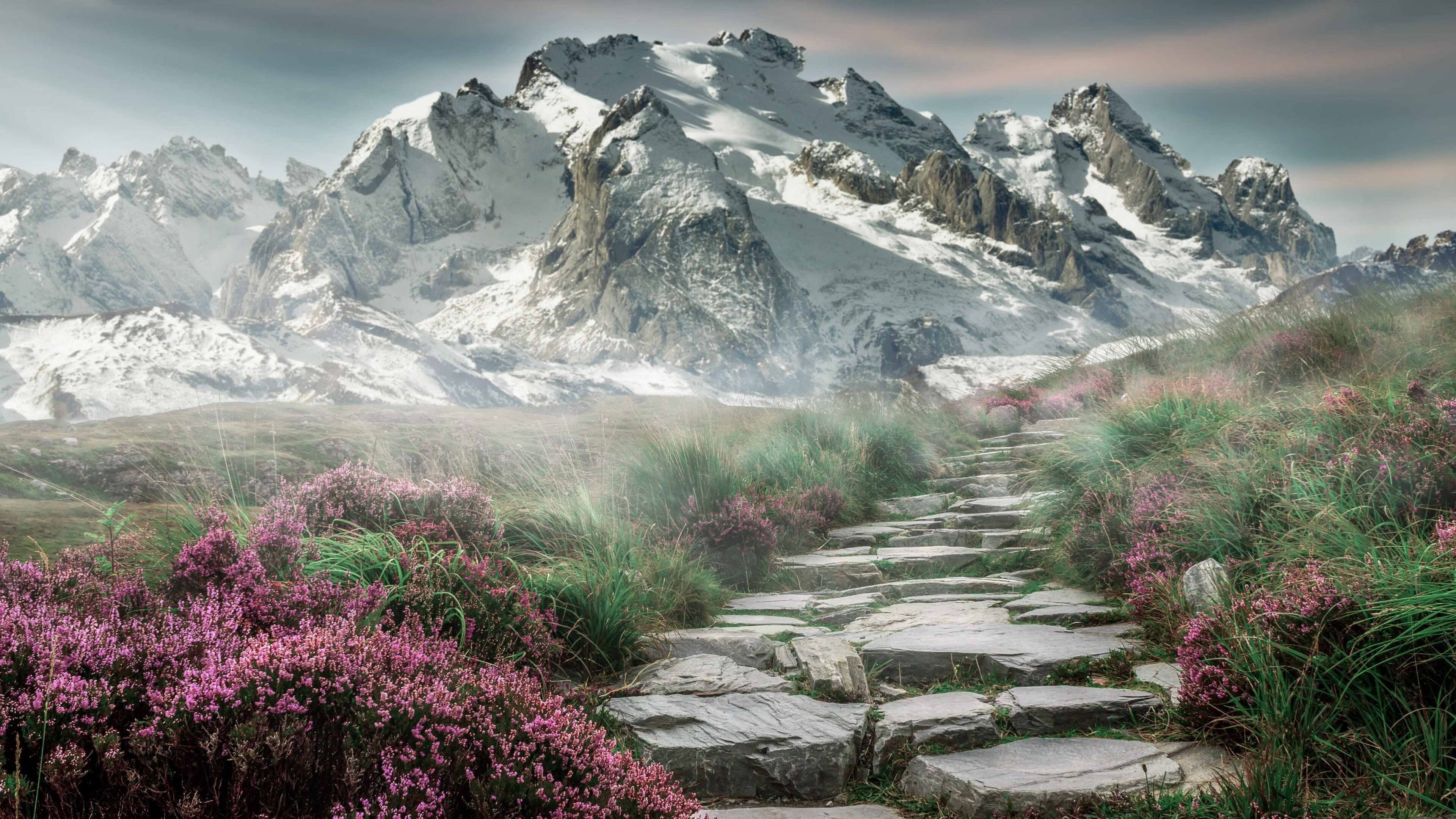 一骑绝尘,米切尔新季揭幕战的惊艳首秀