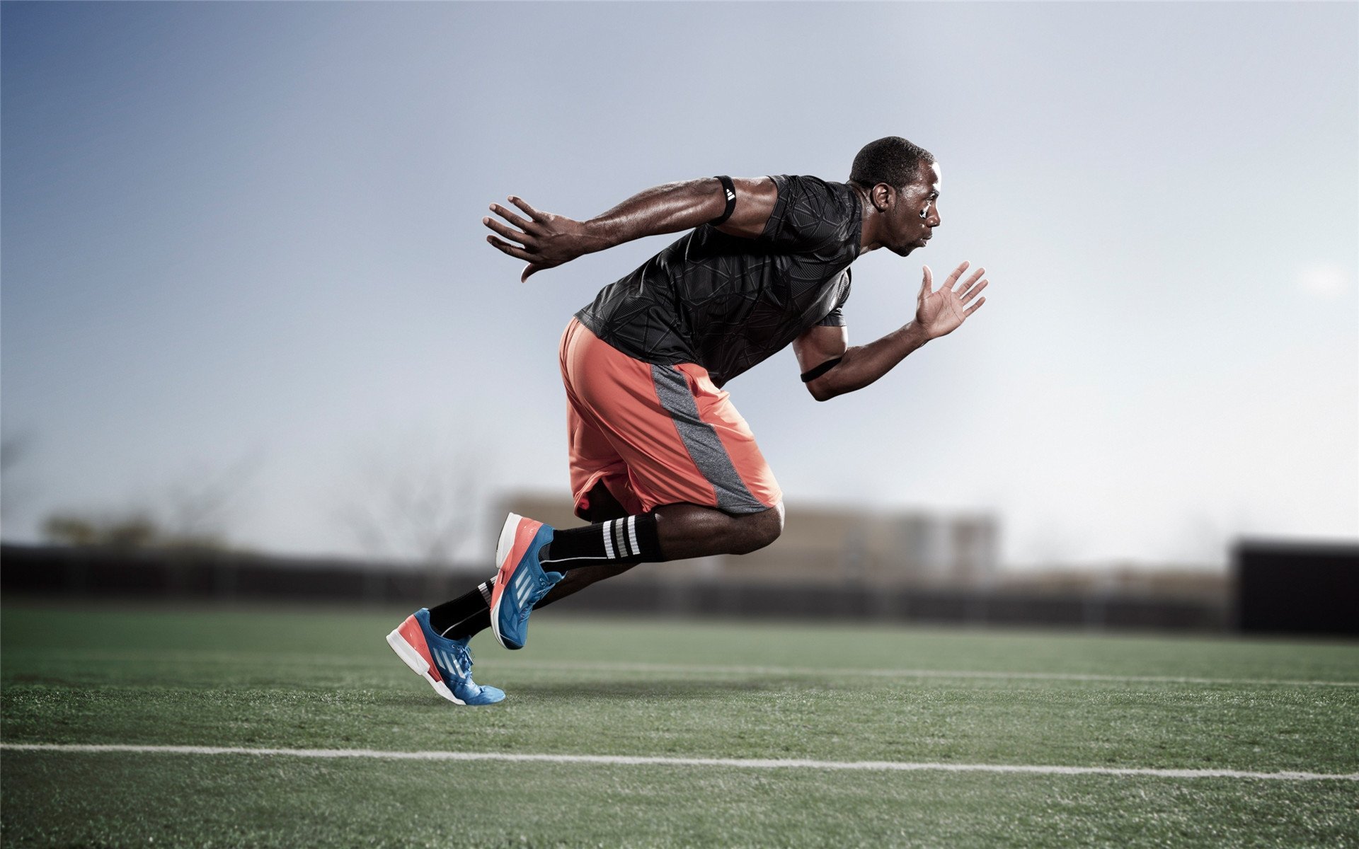 辽宁队轻取凯尔特人,霍勒迪打崩绿军防线展现完美统治力