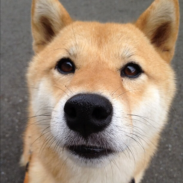 爱游戏官方-幽灵进球与命运接管者，帕尔默一球如何历史性改写加拿大足球与2026世界杯轨迹