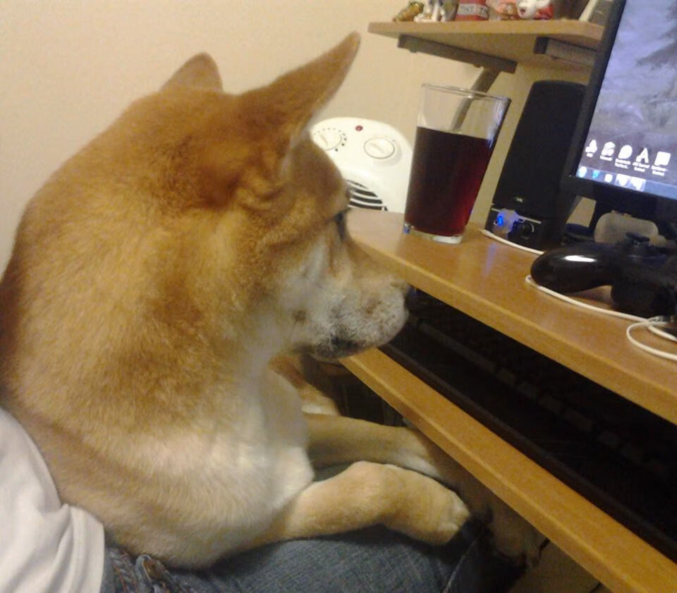 指挥家霍勒迪，以里程碑为符，奏响尼克斯狂胜交响曲