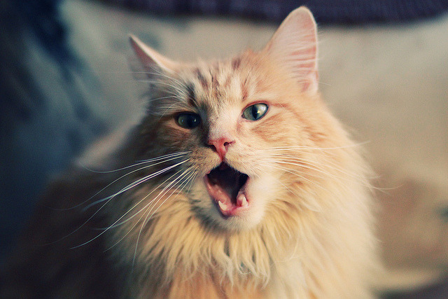 爱游戏下载-北欧寒流逆转诺坎普，无名小卒帕尔默的封神之战