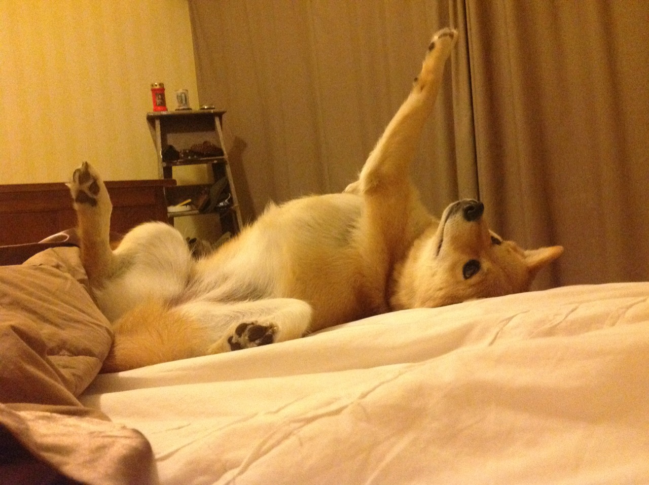 爱游戏在线-当CBA霸主叫停NBA重建，贝恩47分冻结休城