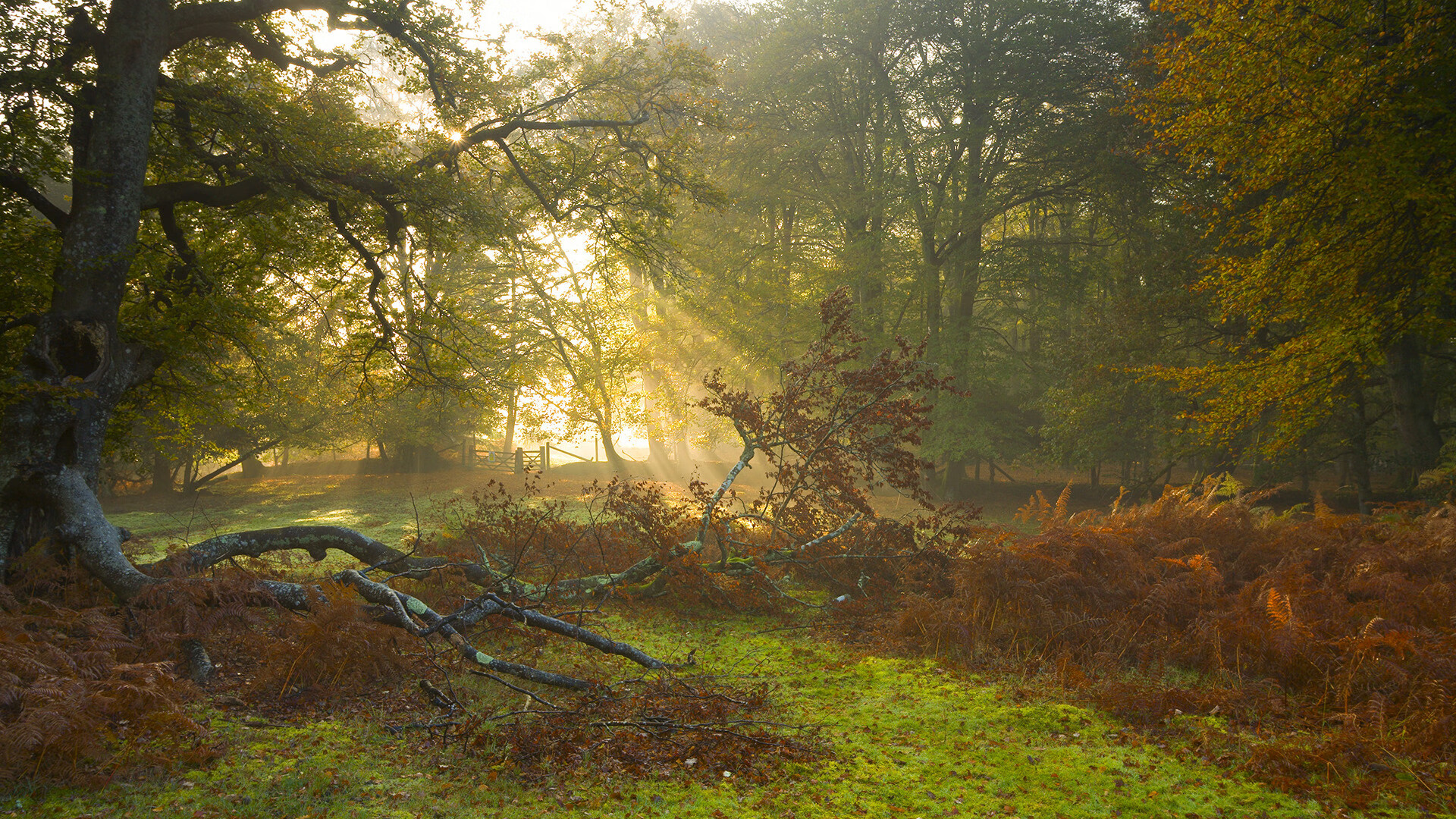 爱游戏官网-跨越维度的黄蓝对决，当湖人强压魔术的东决关键战成为焦点