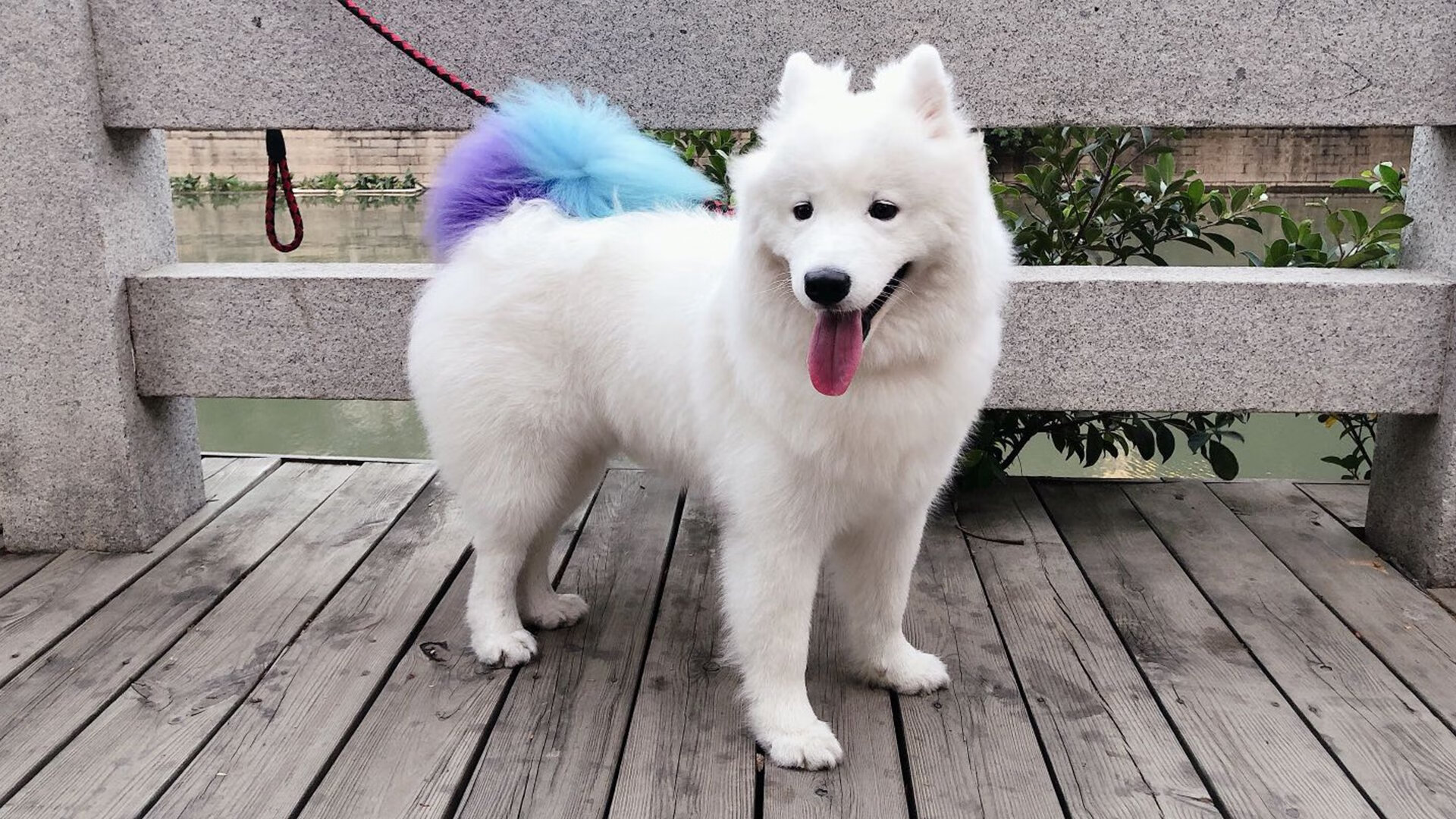 爱游戏大厅-双重奏，西班牙的战术纪律与格列兹曼的德比魔法