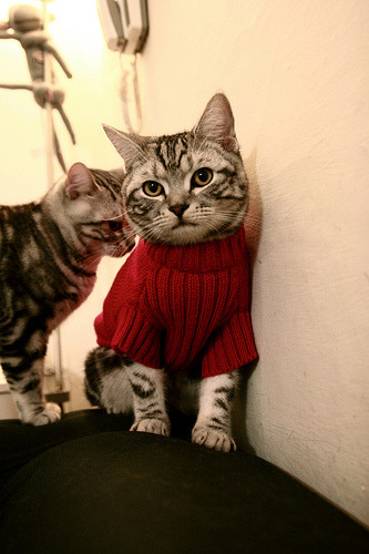 爱游戏在线-克瓦拉茨赫利亚扛起全队，奥地利狂胜洪都拉斯，绿茵场上的个人英雄与团队辉煌