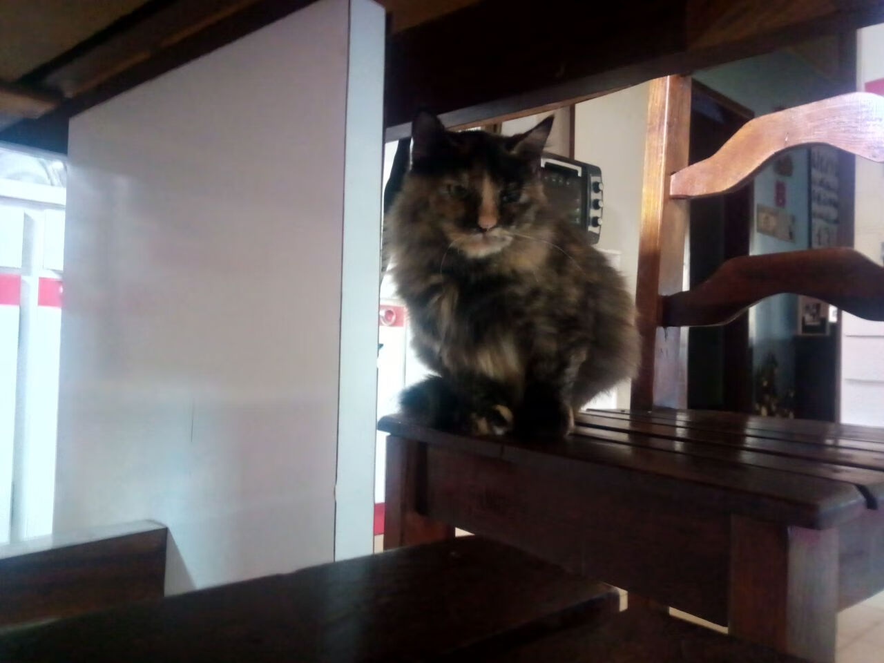 字母哥空降CBA？山西队梦幻联动制霸开拓者，存在感拉满的跨界传奇