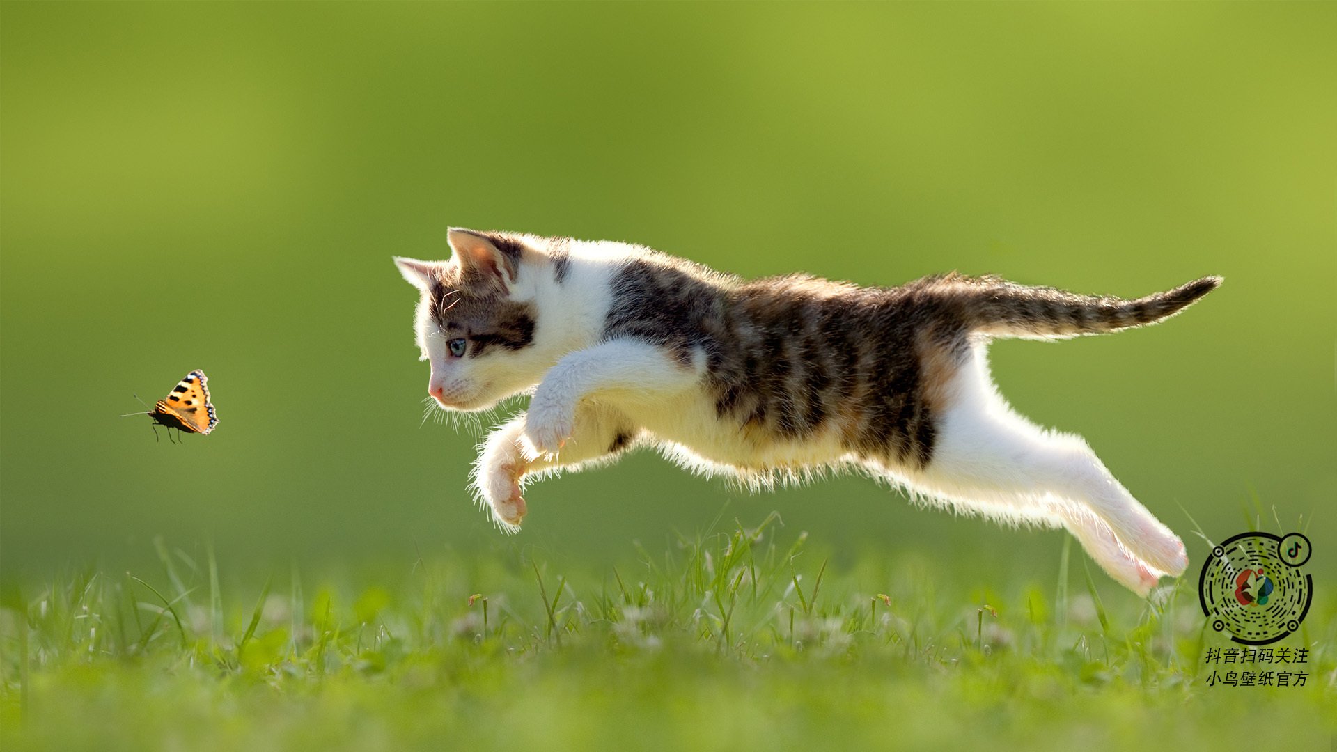 时空裂隙中的对决，当广厦强压快船