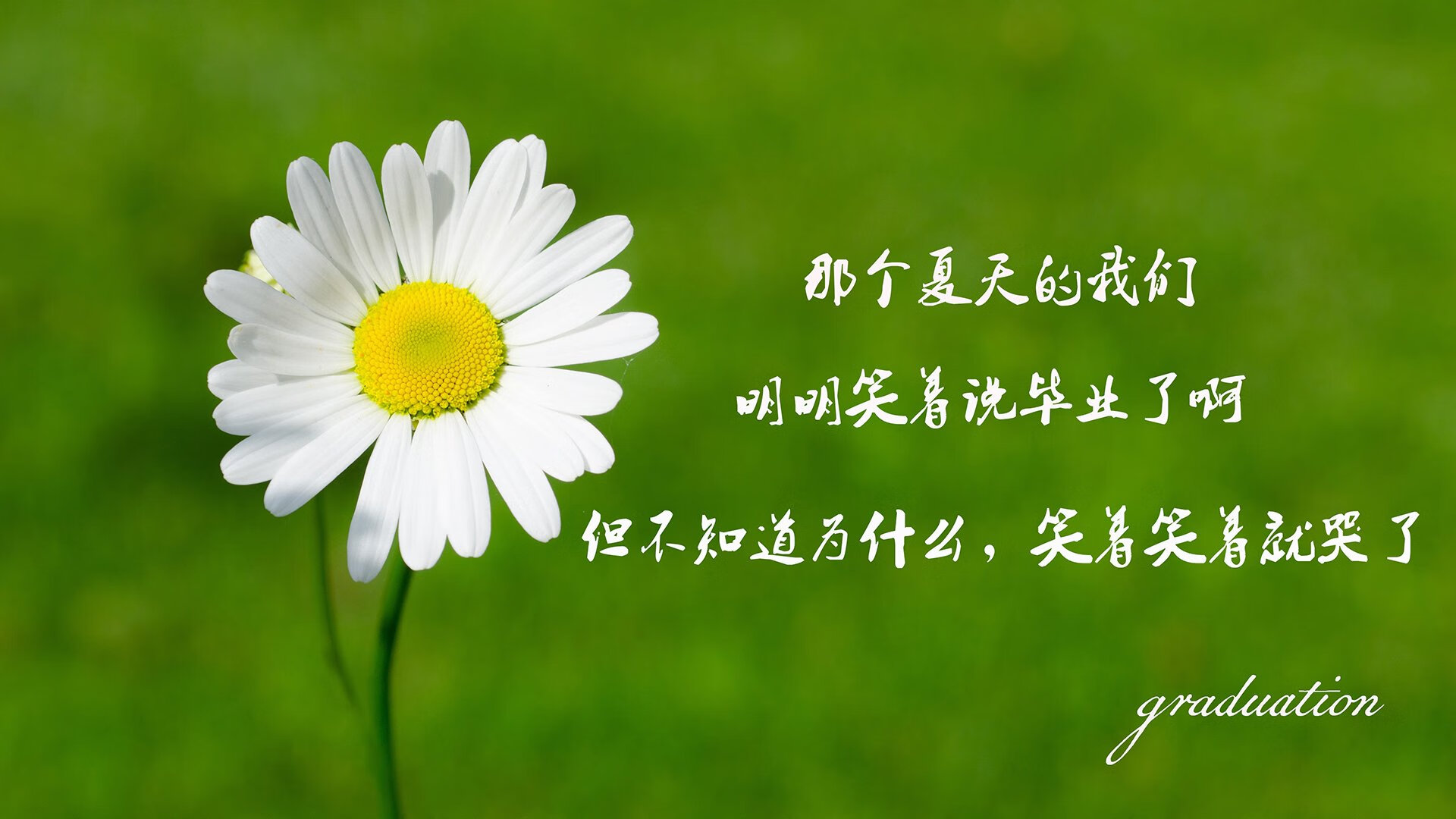 爱游戏-闪电战震彻沙漠，努涅斯导演最速反击战，罗马尼亚在2026世界杯A组关键战中狂胜摩洛哥