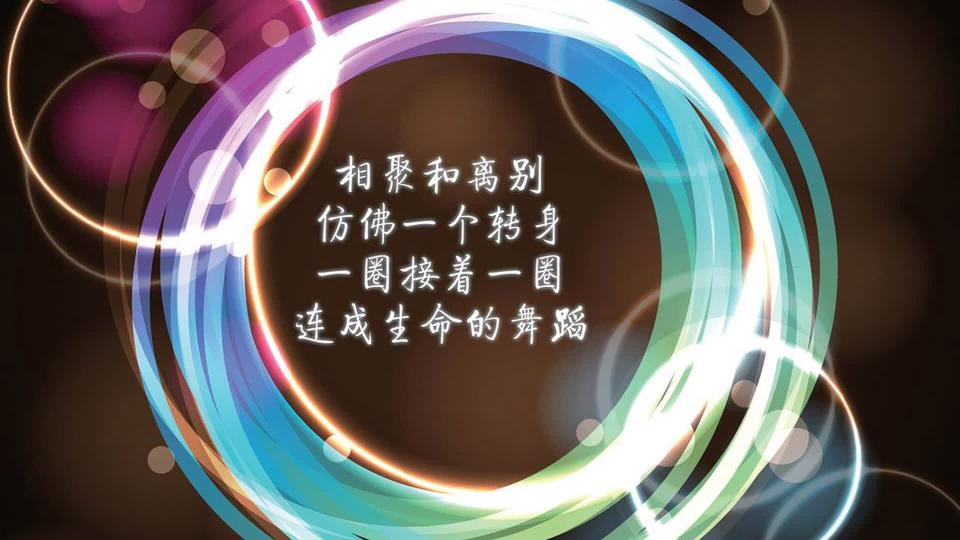 高卢雄鸡的复仇狂潮,2026世界杯焦点战,法国四球横扫喀麦隆,孙兴慜导演防守反击经典